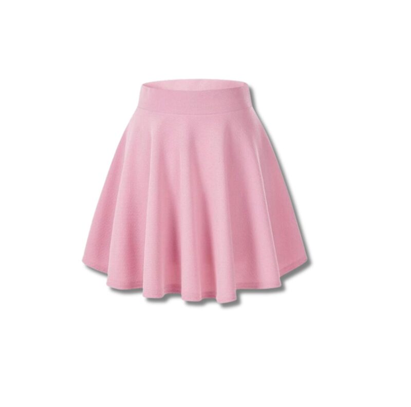 Mini Skater Skirt